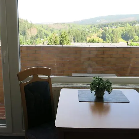 Harz Apartment