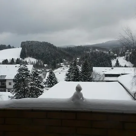 Apartment Harz Altenau (Lower-Saxony)