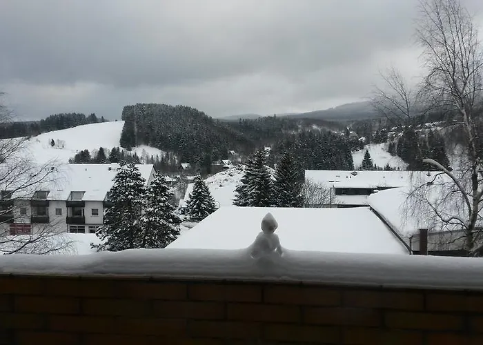 公寓 Harz 阿尔特瑙